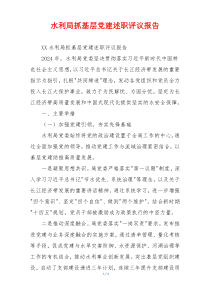 水利局抓基层党建述职评议报告