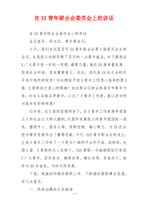 在XX青年联合会委员会上的讲话