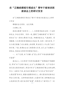 在“正确政绩观引领成长”青年干部培训班座谈会上的研讨发言