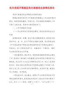 机关党组开展基层党支部建设自查情况报告