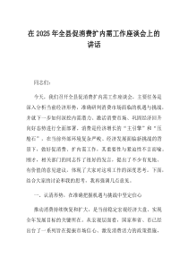 在2025年全县促消费扩内需工作座谈会上的讲话