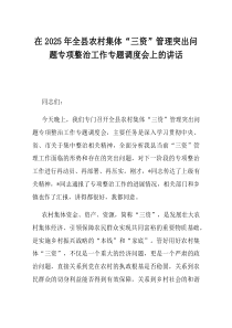 在2025年全县农村集体三资管理突出问题专项整治工作专题调度会上的讲话