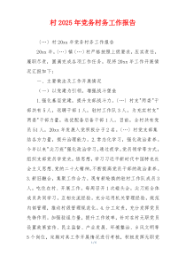 村2025年党务村务工作报告