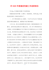 村2025年度基层党建工作述职报告