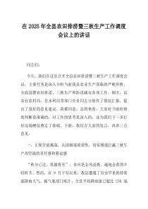 在2025年全县农田排涝暨三秋生产工作调度会议上的讲话