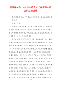组织部长在2025年市委人才工作领导小组会议上的讲话