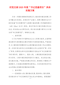 村党支部2025年度“书记党建项目”具体实施方案