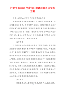 村党支部2025年度书记党建项目具体实施方案