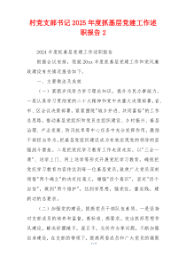 村党支部书记2025年度抓基层党建工作述职报告2