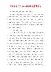 村党支部书记2025年抓党建述职报告