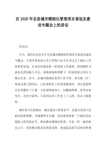 在2025年全县城市精细化管理项目谋划及建设专题会上的讲话