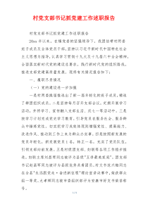村党支部书记抓党建工作述职报告