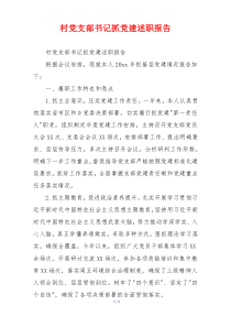 村党支部书记抓党建述职报告
