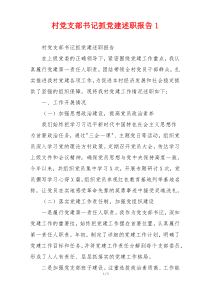 村党支部书记抓党建述职报告1