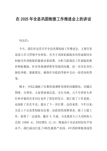 在2025年全县巩固衔接工作推进会上的讲话