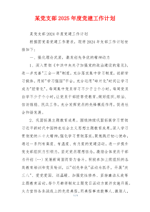 某党支部2025年度党建工作计划