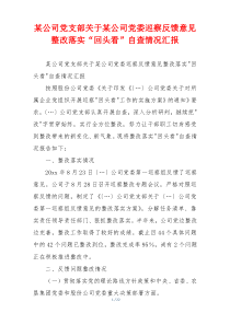 某公司党支部关于某公司党委巡察反馈意见整改落实“回头看”自查情况汇报