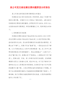 某公司党支部巡察反馈问题原因分析报告