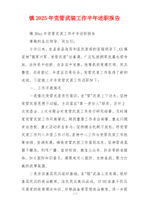 镇2025年党管武装工作半年述职报告