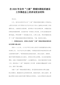 在2025年全市“三新”领域妇联组织建设工作推进会上的讲话发言材料