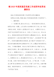 镇2025年度抓基层党建工作述职和述责述廉报告