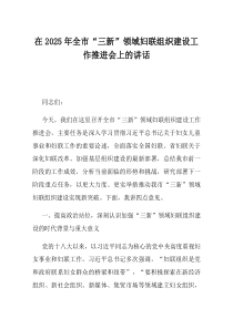 在2025年全市三新领域妇联组织建设工作推进会上的讲话