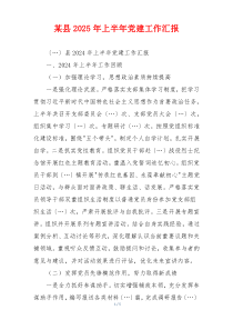 某县2025年上半年党建工作汇报