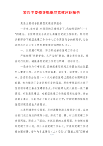 某县主要领导抓基层党建述职报告