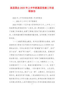 某县国企2025年上半年抓基层党建工作述职报告