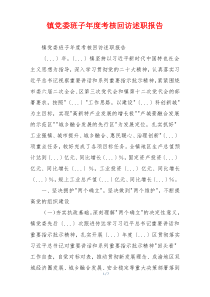 镇党委班子年度考核回访述职报告