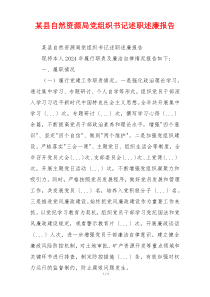 某县自然资源局党组织书记述职述廉报告