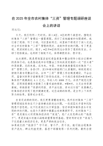 在2025年全市农村集体“三资”管理专题调研座谈会上的讲话