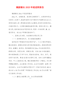 镇副镇长2025年底述职报告