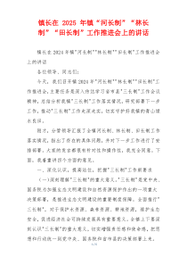 镇长在 2025 年镇“河长制”“林长制”“田长制”工作推进会上的讲话