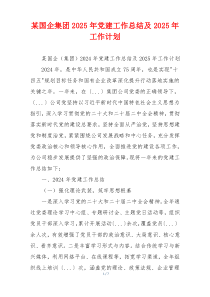某国企集团2025年党建工作总结及2025年工作计划