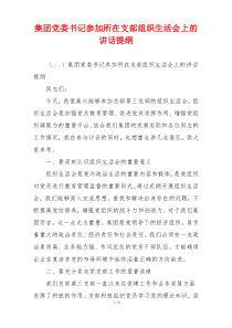 集团党委书记参加所在支部组织生活会上的讲话提纲