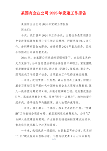 某国有企业公司2025年党建工作报告