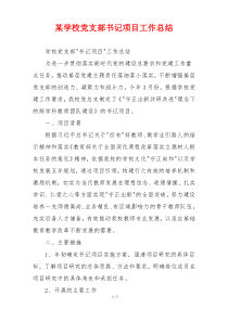 某学校党支部书记项目工作总结