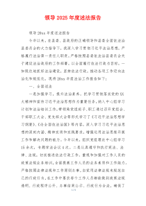 领导2025年度述法报告
