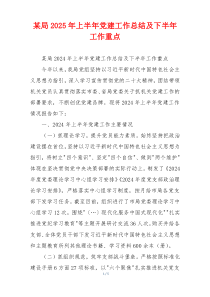 某局2025年上半年党建工作总结及下半年工作重点