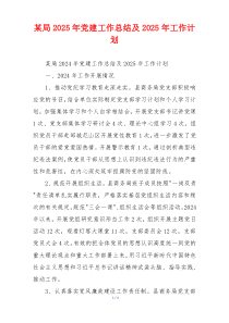某局2025年党建工作总结及2025年工作计划