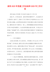 某局2025年党建工作总结和2025年工作计划