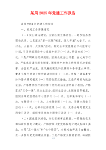 某局2025年党建工作报告