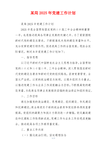 某局2025年党建工作计划