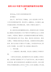 某局2025年度书记抓党建突破项目结项报告
