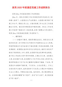 某局2025年抓基层党建工作述职报告