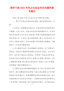 领导干部2025年民主生活会存在问题和意见建议