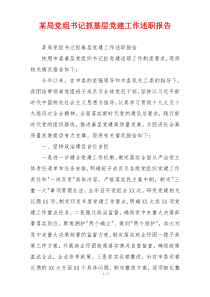某局党组书记抓基层党建工作述职报告