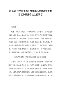 在2025年全市生态环境领域风险隐患排查整治工作调度会议上的讲话