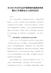 在2025年全市生态环境领域风险隐患排查整治工作调度会议上的讲话发言